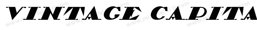 Vintage Capital字体转换